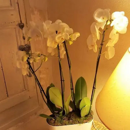 Clos Des Morillons فندق مبيت وإفطار