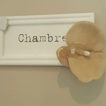 Clos Des Morillons فندق مبيت وإفطار Venerand