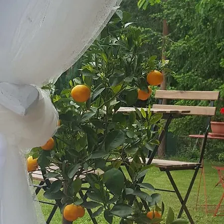 Clos Des Morillons 3* Venerand