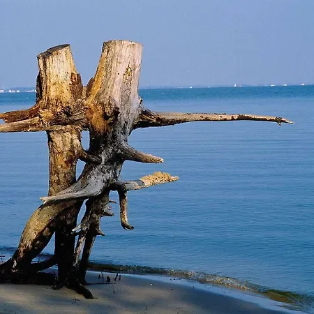 فندق مبيت وإفطار Clos Des Morillons Venerand