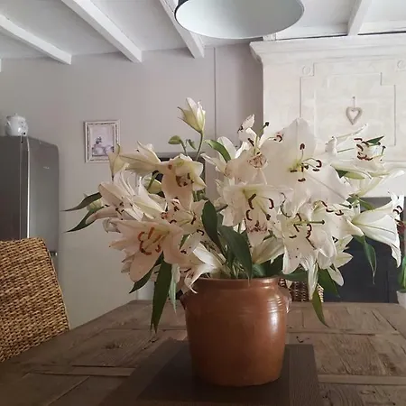 Clos Des Morillons Venerand